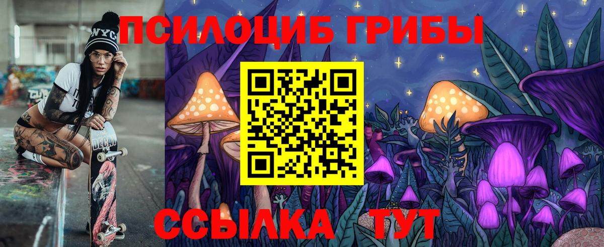 Галлюциногенные грибы Psilocybine cubensis Кушва
