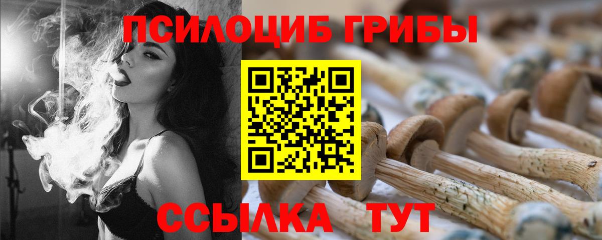 Кушва  как найти   Вход с VPN  Псилоцибиновые грибы MAGIC MUSHROOMS 